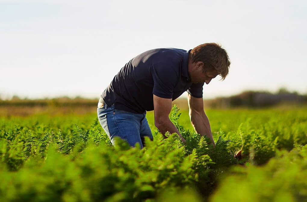 Quality products of incomparable freshness